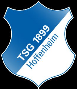 Gruppenavatar von Hoffenheim Deutscher-Meister 2008/09