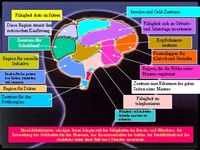 Menschen bekamen INTELLIGENZ, ausnahmen die REGEL