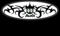 ►►►Audi-Team◄◄◄