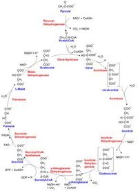 Chemie ist LEBEN!!