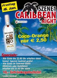 SZENE1-CARIBBEAN-NIGHT@DanceTonight