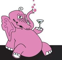 Mein Nachbar, der rosa Elefant und ich scheißen auf die Realität!