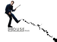 Techno und House sagt der "House"-Verstand