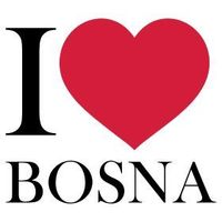 I ♥ Bosna