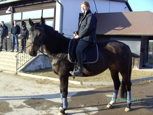 Vereinsmitglieder & Ihre Pferdchen - 