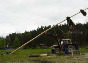 Wir hatten einen Maibaum..... - 