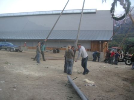 Maibaum aufstellen 08 - 