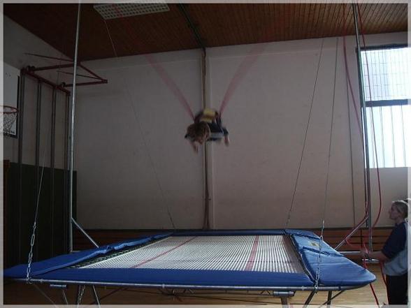 Trampoline & Springer - 