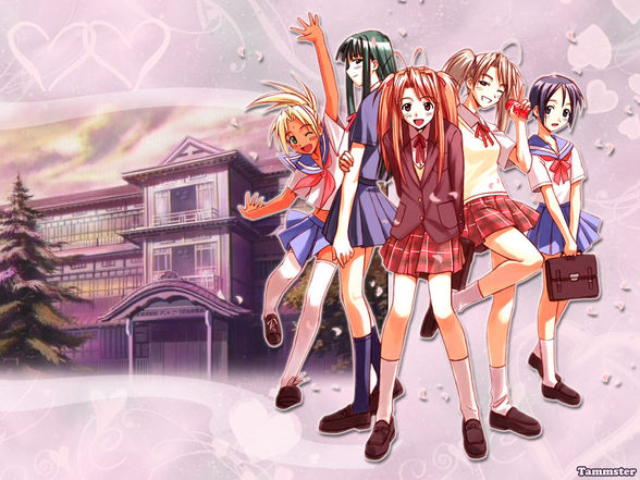 love hina - 