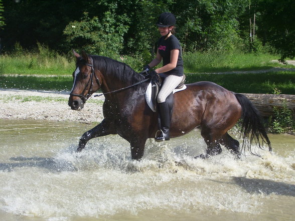 Beim reiten !!! - 