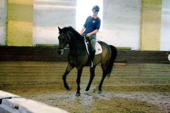 Beim reiten !!! - 