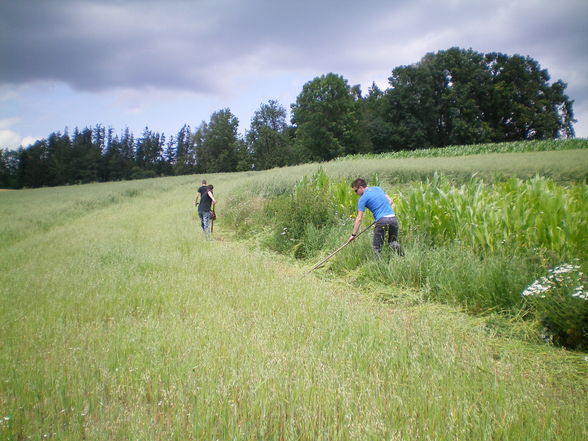 Schlucht 2009 - 