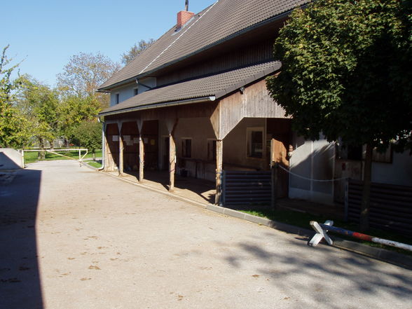 unser schöner Stall - 