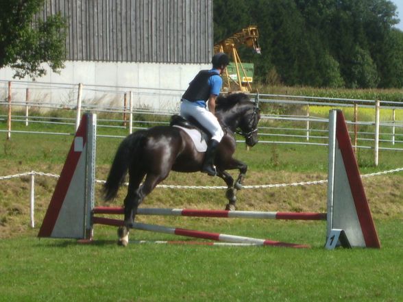 Stallturnier 08 - 