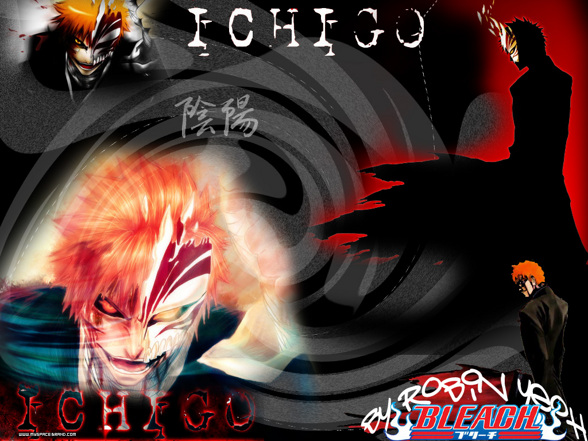 Kurosaki Ichigo - 