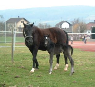 mutter-tochter...und noch mehr - 