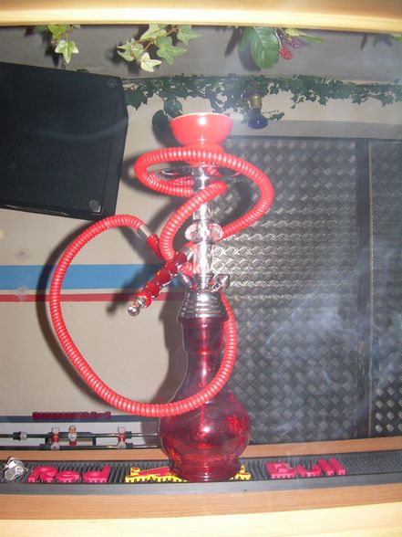 Unsere ShiSha - 