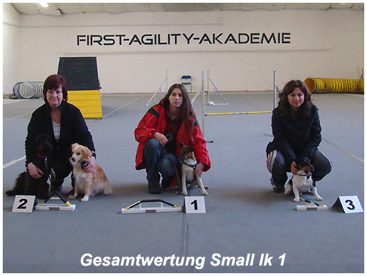 Agility Pics - 