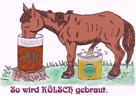 Bier - 