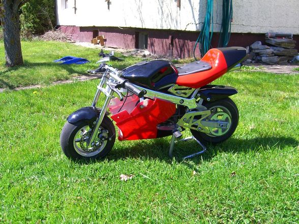 Pocket Bike - 