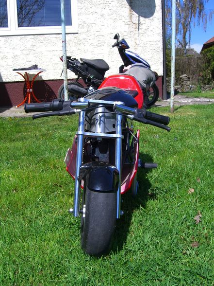 Pocket Bike - 