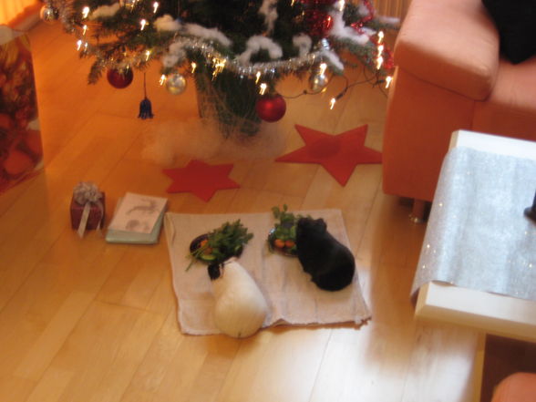 Erstes Weihnachten( 2008) - 