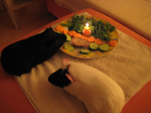 Wolke & Kohles erster Geburtstag;o) - 