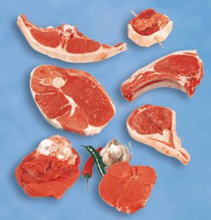 supa fleisch - 