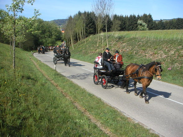 Georgirit in Geboltskirchen 2007 - 