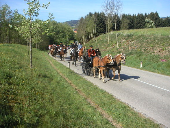 Georgirit in Geboltskirchen 2007 - 