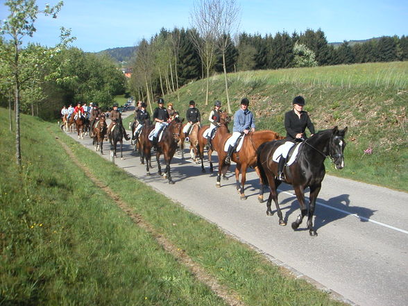 Georgirit in Geboltskirchen 2007 - 