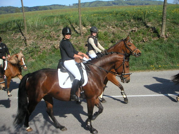 Georgirit in Geboltskirchen 2007 - 