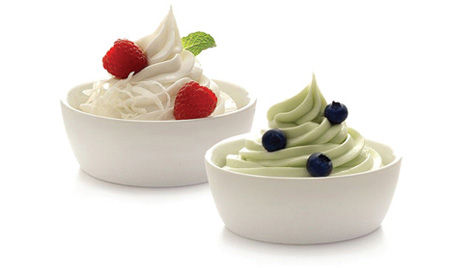 Frozen Yogurt - 