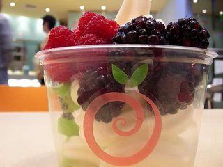 Frozen Yogurt - 