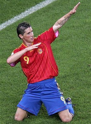 fernando torres  - 