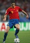 fernando torres  - 