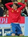 fernando torres  - 