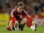 fernando torres  - 