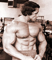 Bodybuilding - Fotos - 