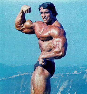 Bodybuilding - Fotos - 