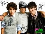 jonas brothers - 