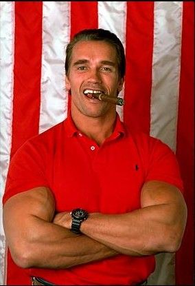 Arnold 2 - 