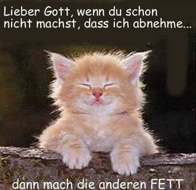 Lach Mal Wieder..... - 