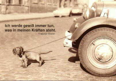 Lach Mal Wieder..... - 