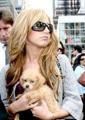 Ashley & the dog - 