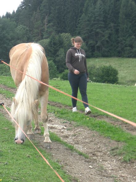 Witzelsberg 2008 - 