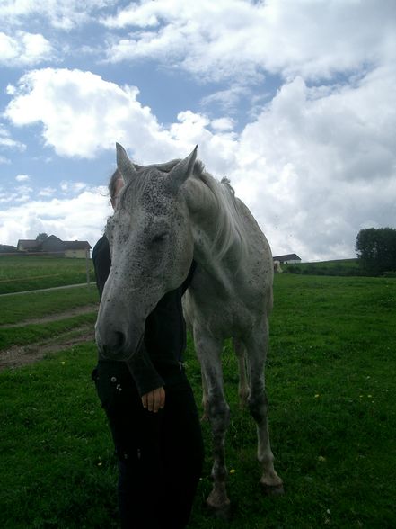 Witzelsberg 2008 - 