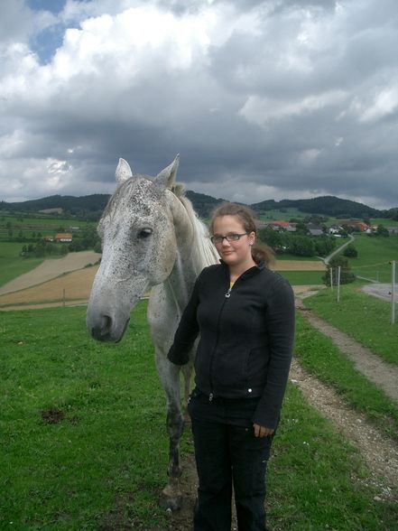 Witzelsberg 2008 - 