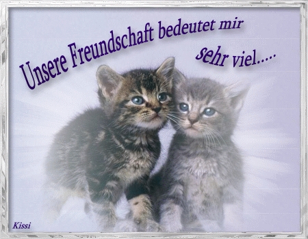 freunde für immer  - 