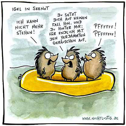 Igel halt - 